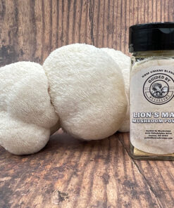 Lion’s Mane Powder