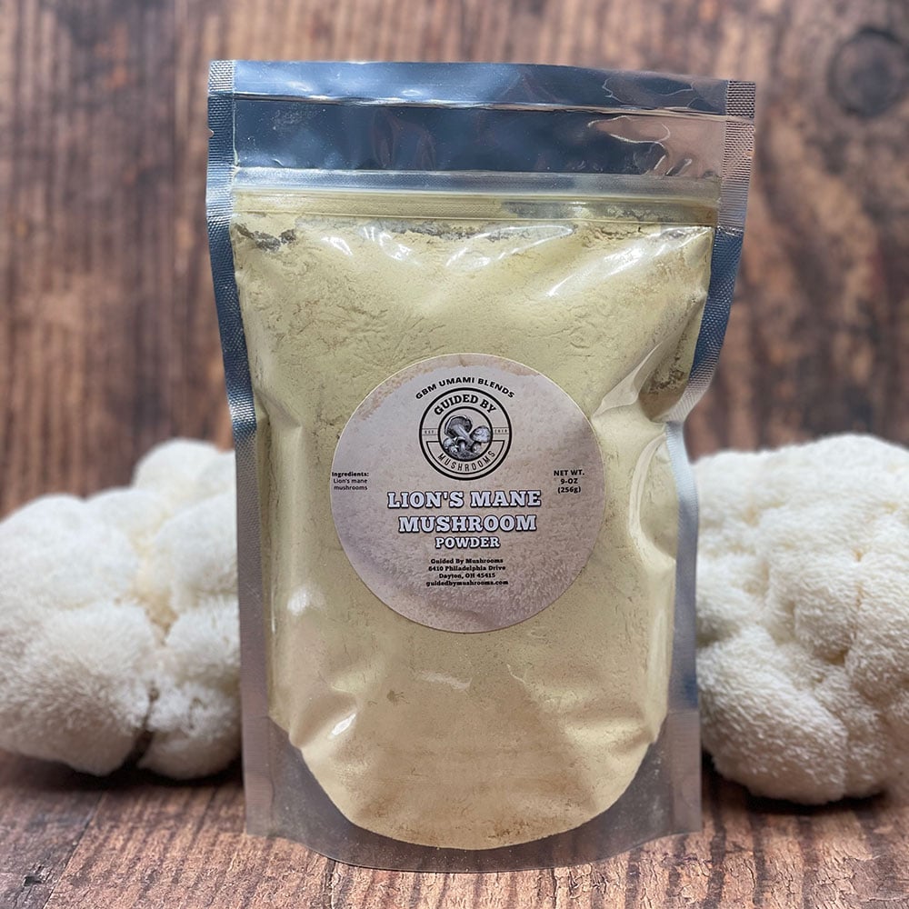 Lion's Mane Powder (bulk)