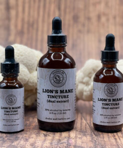 Lion's Mane Mushroom Dual Extract Tincture