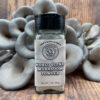 cumin and coriander spiced oyster mushroom powder