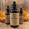 cordyceps dual extract tincture