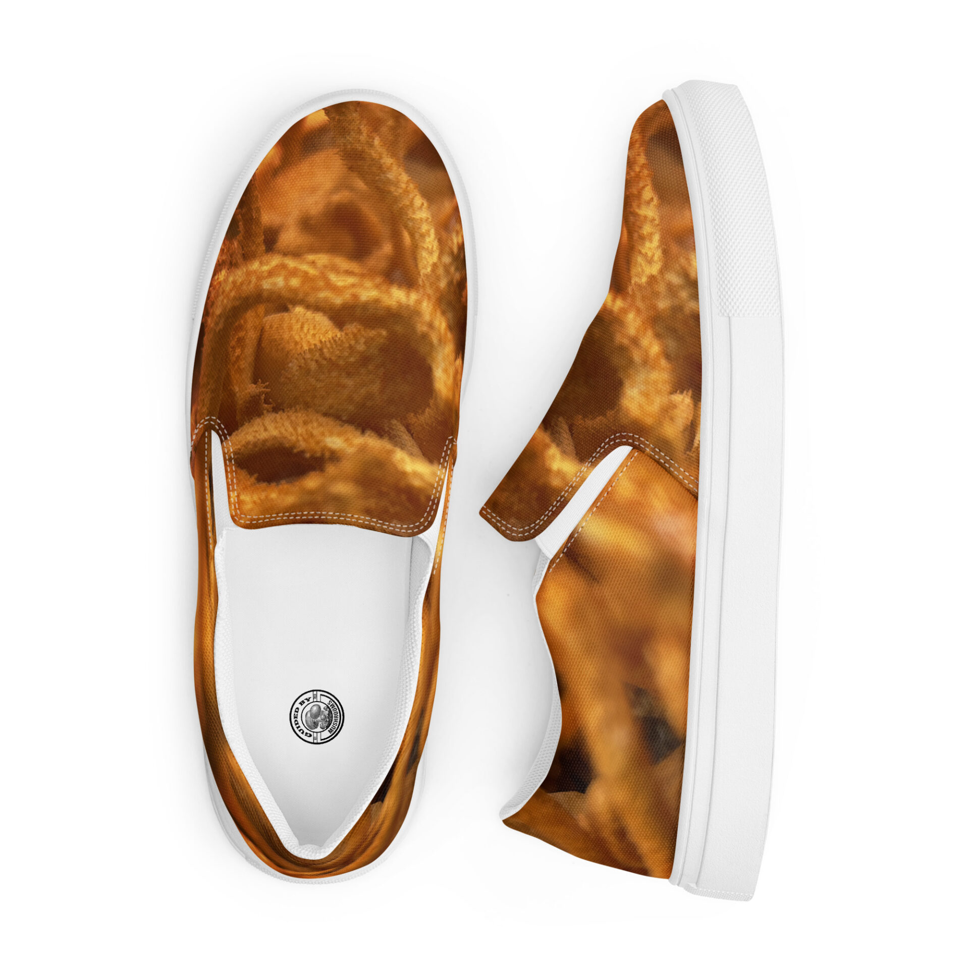 Guided By Mushrooms Cordyceps Militaris Men’s Slip-on Canvas Shoes