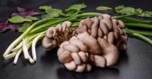 10 Health Benefits of Eating Mushrooms