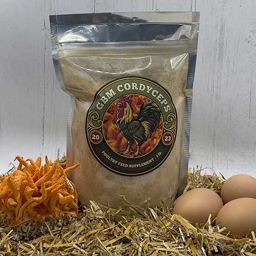 GBM Cordyceps Mushroom Poultry Feed Supplement
