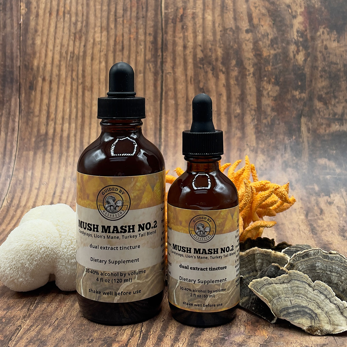 cordyceps, lion's mane and turkey tail dual extract tincture