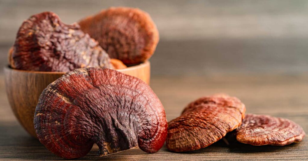 The History of Reishi
