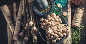 Medicinal Mushrooms Benefits
