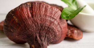 Reishi and Cancer