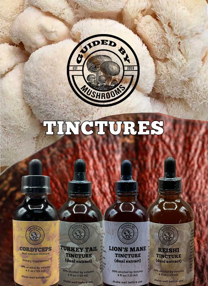 Guided By Mushrooms Tinctures