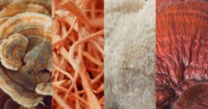 Benefits of Adaptogenic Mushrooms