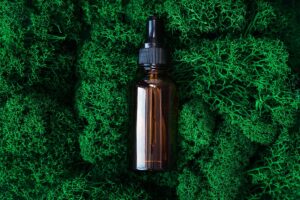 lions mane tincture dosage